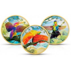 Maple Leaf Colours Of Paradise 3x1 Oz - strieborná zberateľská minca