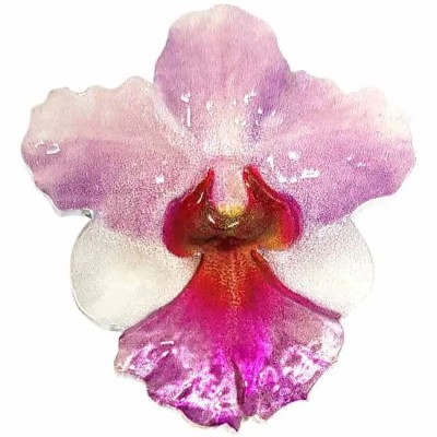 World Enchanting Flower Series: Orchid -1 Oz - strieborná zberateľská minca