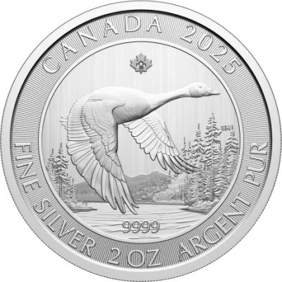 Husa - 2 Oz - strieborná investičná minca