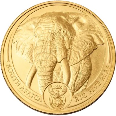 Big Five Elephant (2025) - 1 Oz - zlatá investičná minca