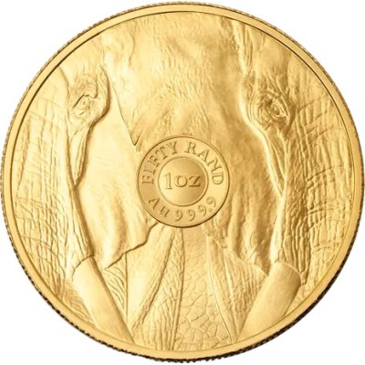 Big Five Elephant (2025) - 1 Oz - zlatá investičná minca