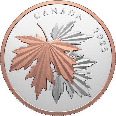 Gleaming Maple Leaves - 10 Oz - strieborná zberateľská minca