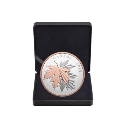 Gleaming Maple Leaves - 10 Oz - strieborná zberateľská minca