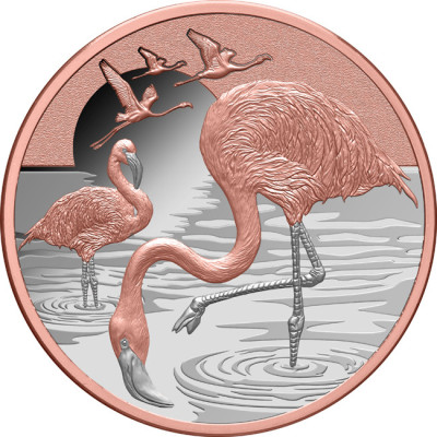 Plameniak (2025) - 1 Oz - strieborná zberateľská minca (dodanie 13.9.2025)