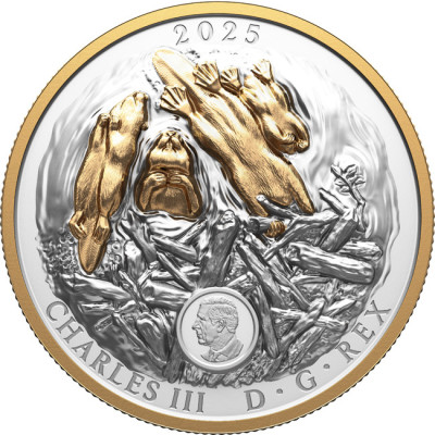The Beaver (2025) - 100g - strieborná zberateľská minca (dodanie 24.9.2025)