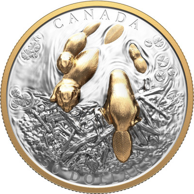 The Beaver (2025) - 100g - strieborná zberateľská minca (dodanie 24.9.2025)