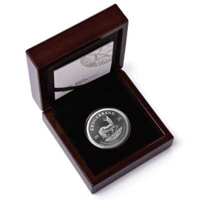 Krugerrand (2025) - 2 Oz - strieborná zberateľská minca