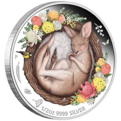 Baby Kangaroo (2021) - 1/2 Oz - strieborná zberateľská minca