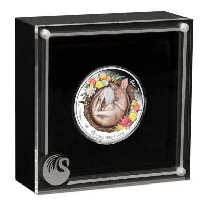 Baby Kangaroo (2021) - 1/2 Oz - strieborná zberateľská minca