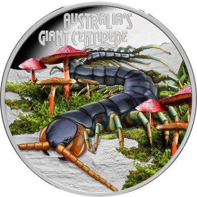 Giant Centipede (2026) - 1 Oz - strieborná zberatěĺská minca