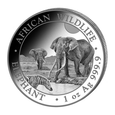 Africký slon (2026) - 1 Oz - strieborná investičná minca