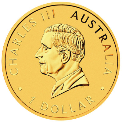 Austrálsky nuget - 1 Oz - strieborná zberateľská minca