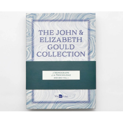 The John and Elizabeth Gould Collection - Hummingbirds